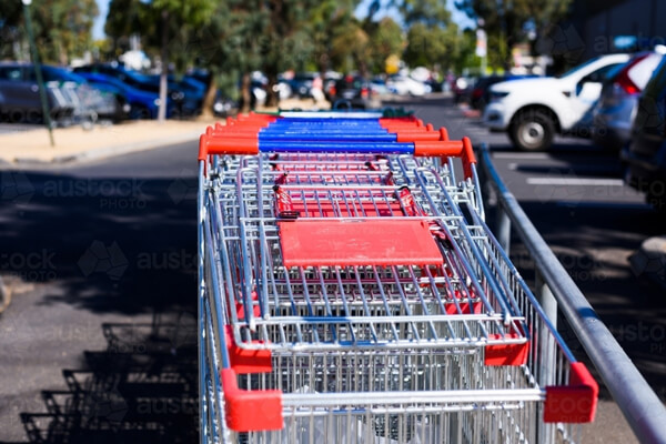 shopping-cart-collecting